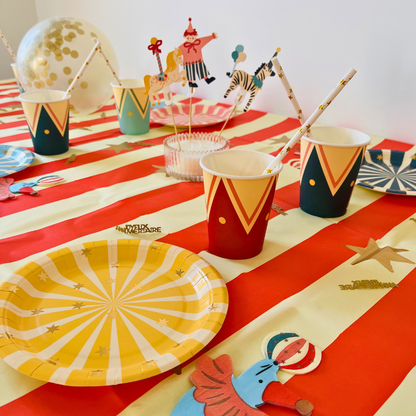 Box Anniversaire Cirque 8/11 ans