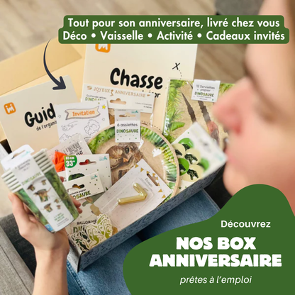 Box Anniversaire Dinosaure 4/7 ans